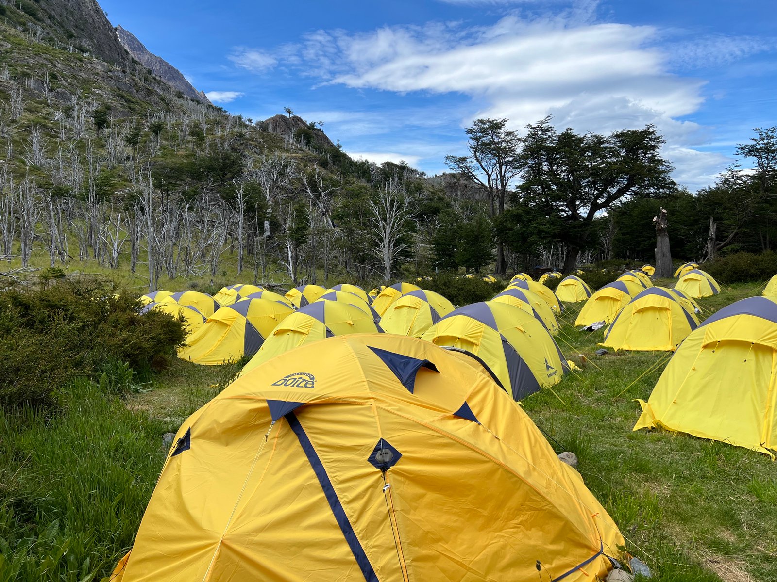 camping torres del paine