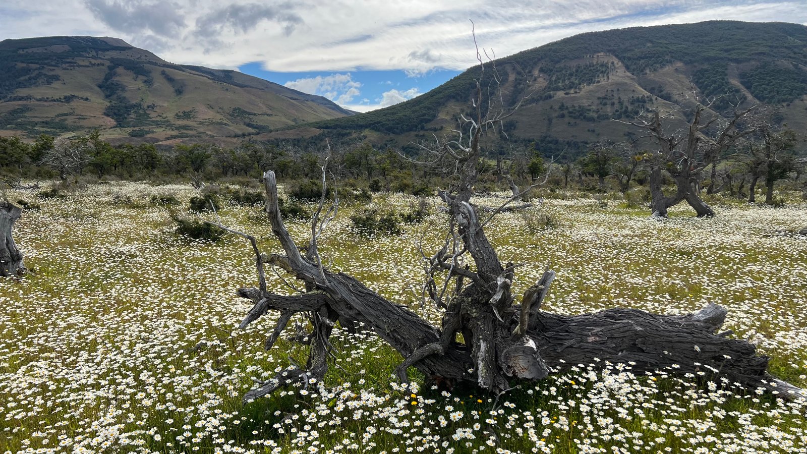 circuito w torres del paine