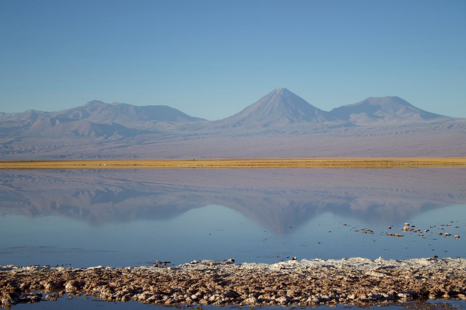 deserto do atacama laguna cejar