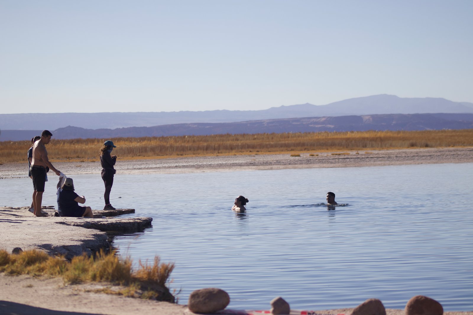 deserto do atacama laguna cejar