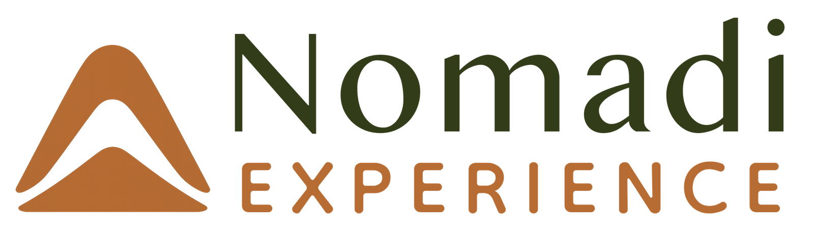 logo do Nomadi experience
