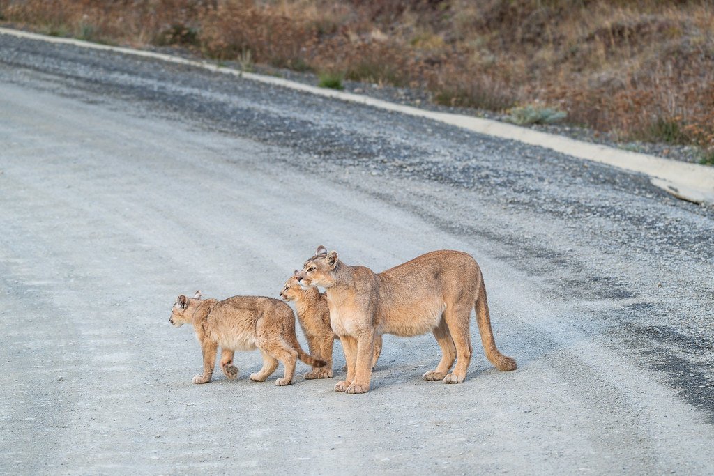 deserto do atacama valle de la luna